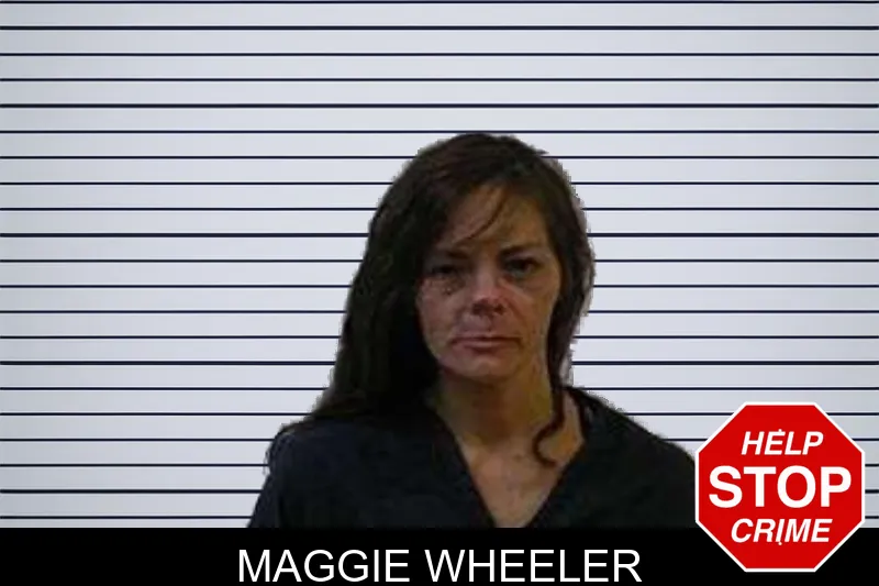 Maggie Wheeler mugshot – Polk County , Georgia Maggie Wheeler mugshot