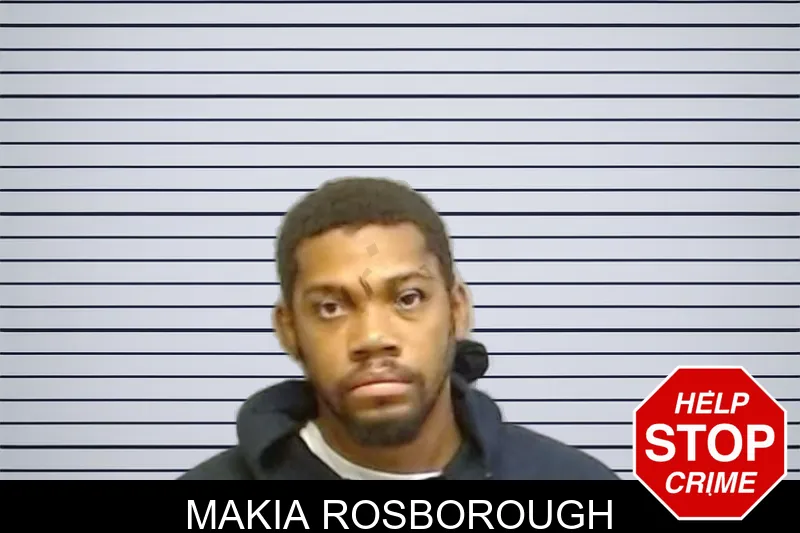 Makia Rosborough mugshot – Fulton County , Georgia Makia Rosborough mugshot