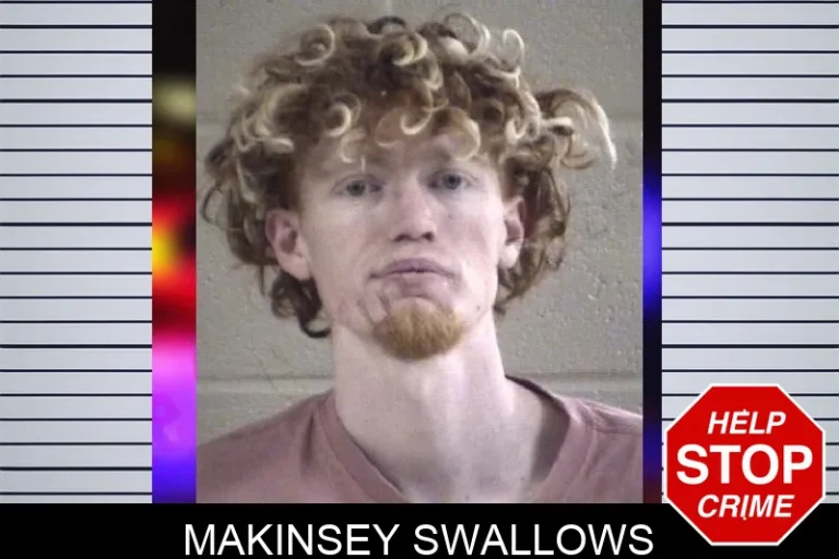 Makinsey Swallows