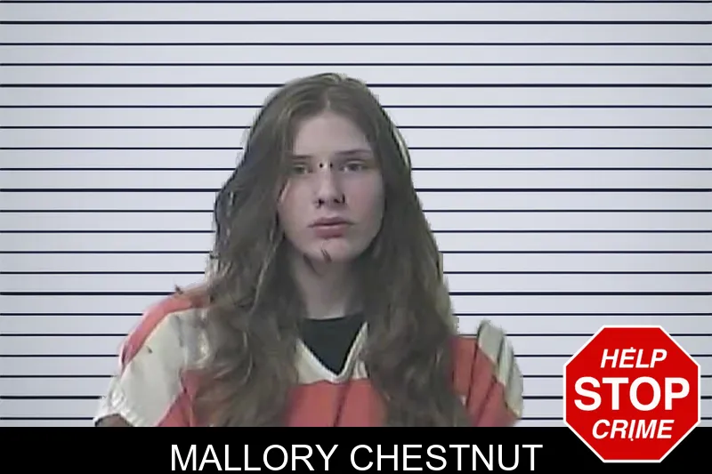 Mallory Chestnut Mugshots