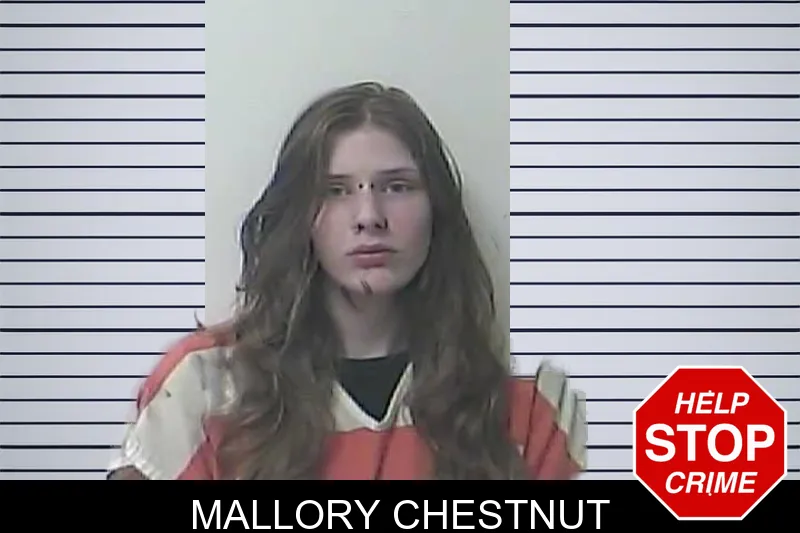 Mallory Chestnut Mugshots