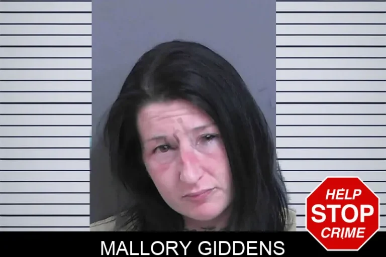 Mallory Giddens mugshot – Gordon County , Georgia Mallory Giddens