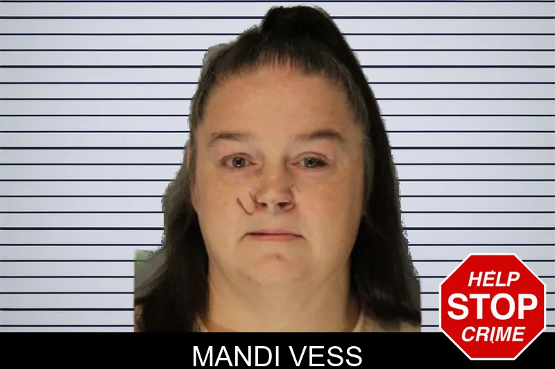 Mandi Vess Mugshots