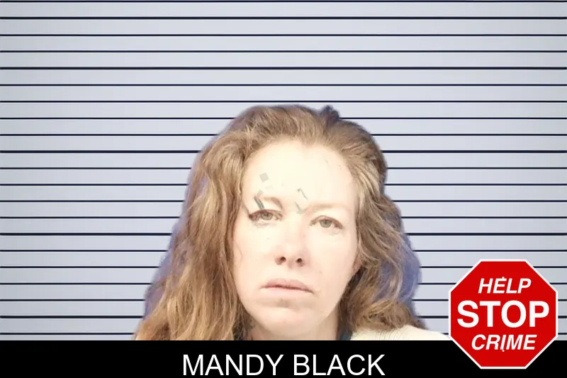 Mandy Black Mugshots