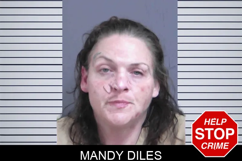 Mandy Diles mugshot