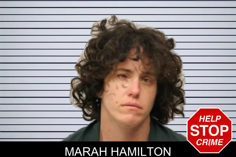 Marah Hamilton mugshot