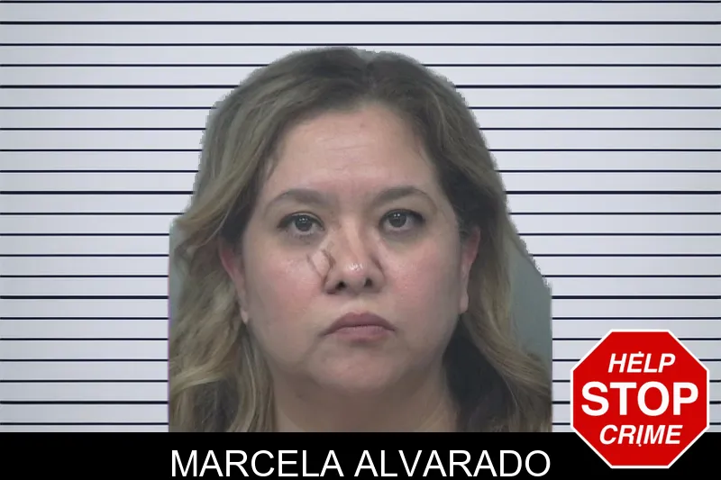 Marcela Alvarado Mugshots