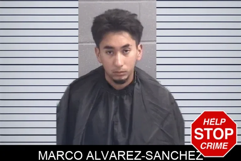 Marco Alvarez-Sanchez