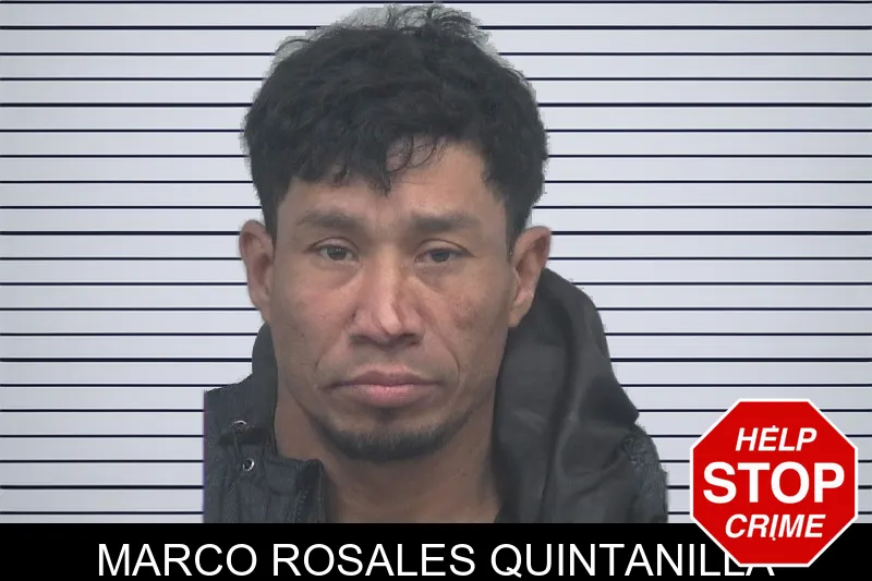 Marco Rosales Quintanilla Mugshots