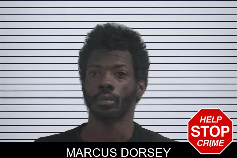 Marcus Dorsey mugshot – McDuffie County , Georgia Marcus Dorsey mugshot