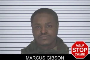 Marcus Gibson mugshot