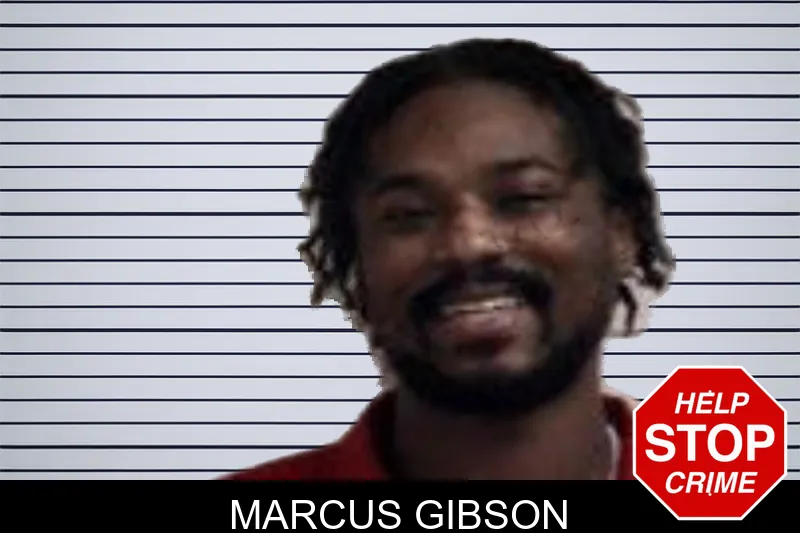 Marcus Gibson Mugshots