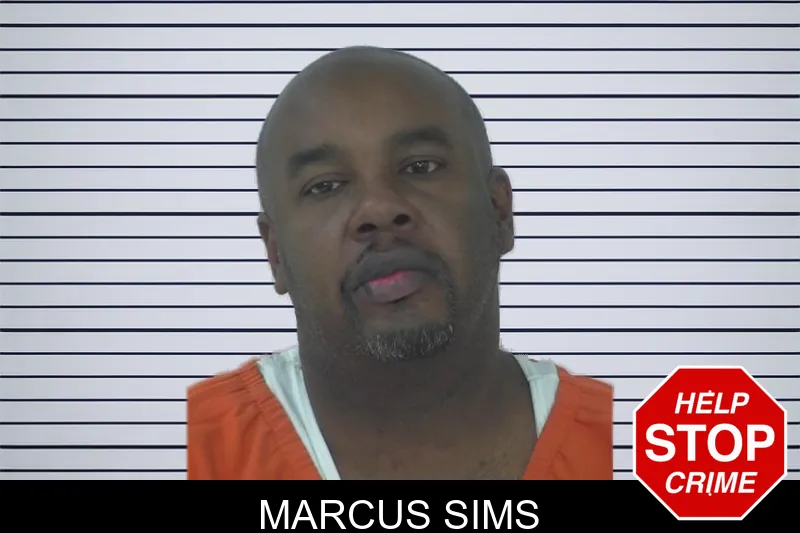 Marcus Sims mugshot – Fayette County , Georgia Marcus Sims mugshot