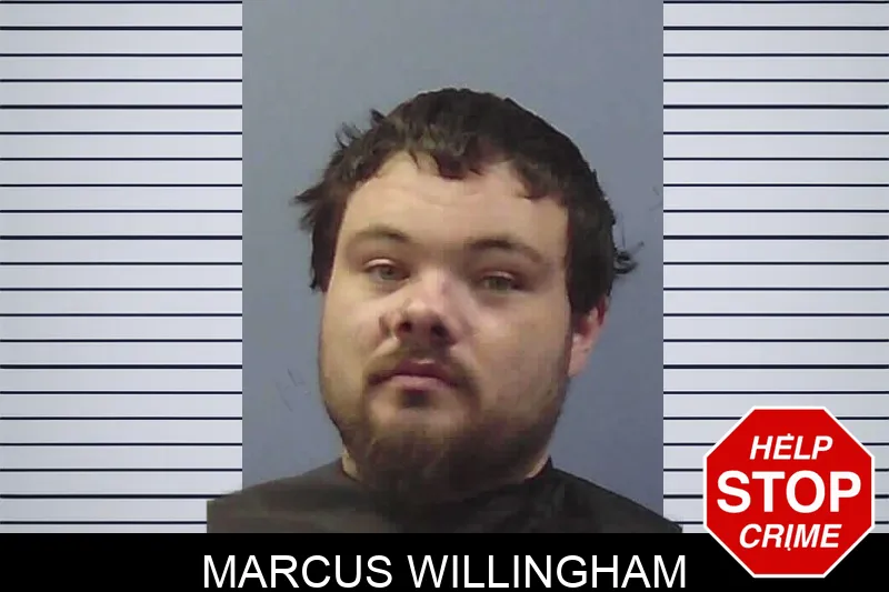 Marcus Willingham Mugshots