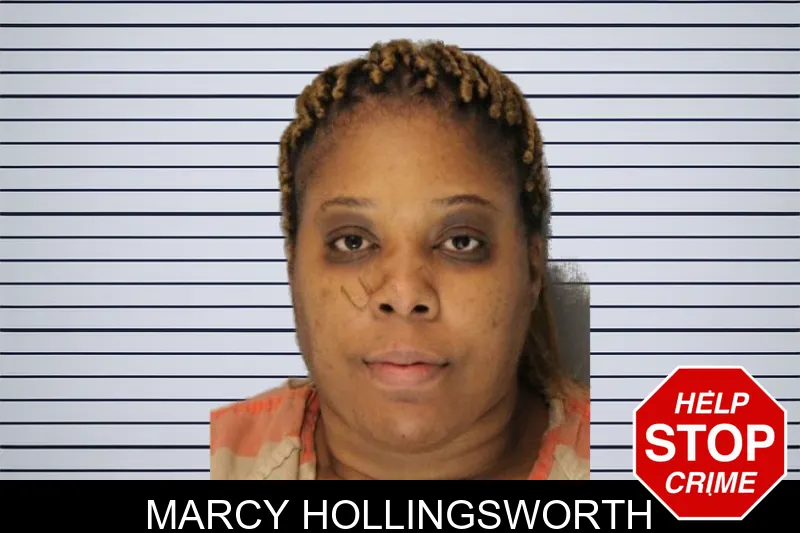 Marcy Hollingsworth Mugshots