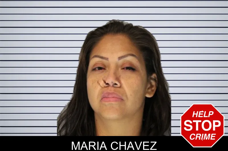 Maria Chavez mugshot – Hall County , Georgia Maria Chavez mugshot