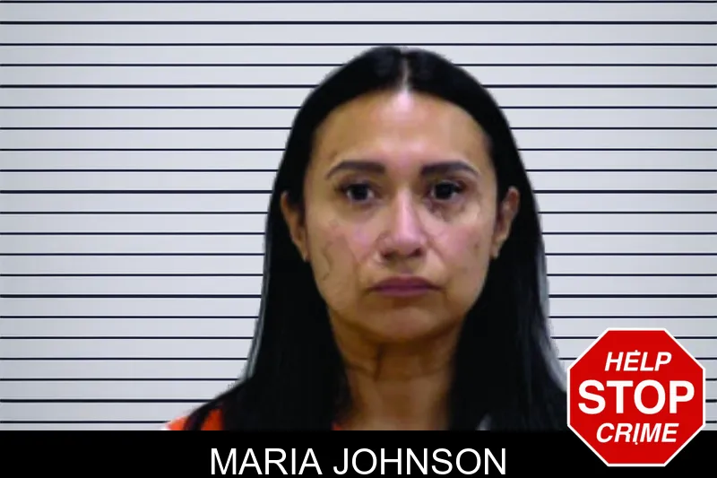 Maria Johnson Mugshots