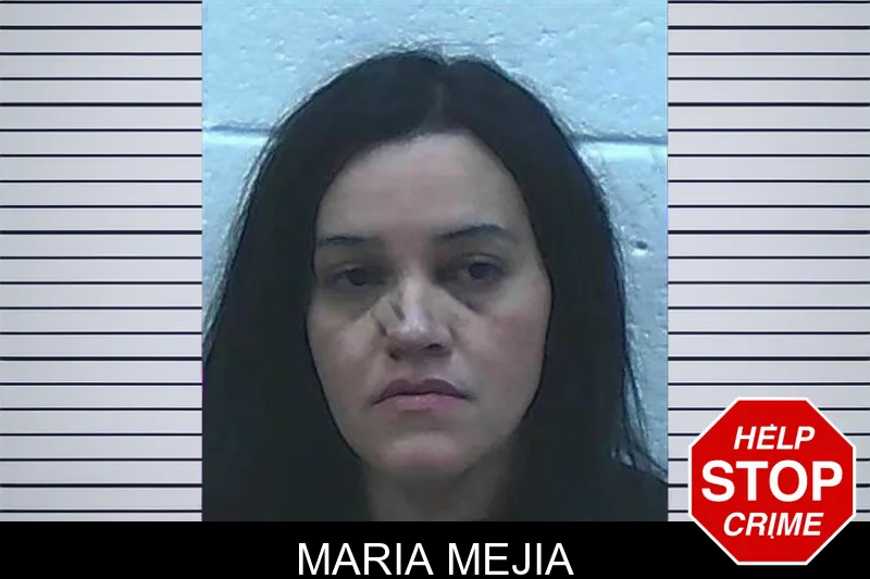 Maria Mejia Mugshots