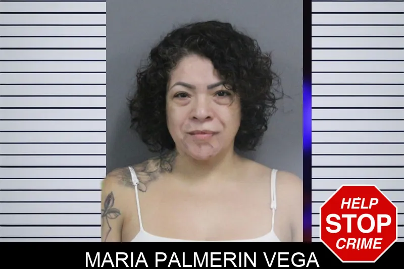 Maria Palmerin Vega mugshot – Catoosa County , Georgia Maria Palmerin Vega mugshot