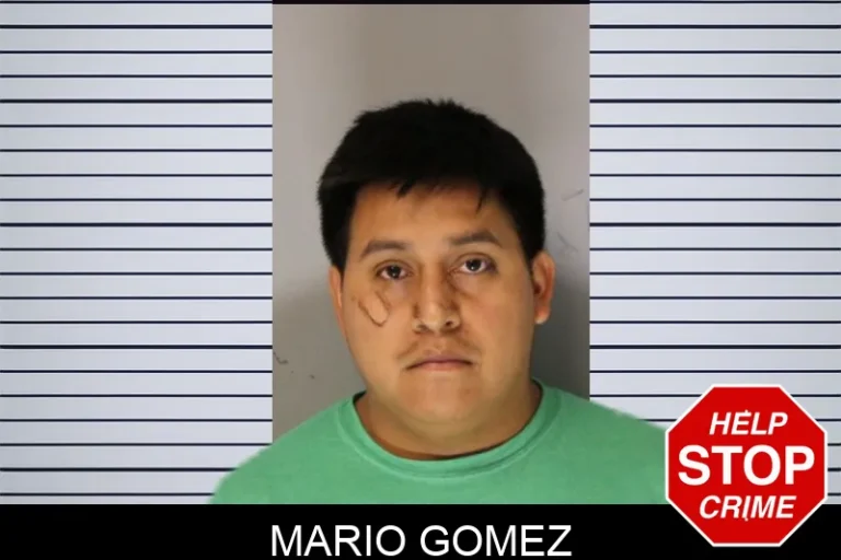 Mario Gomez