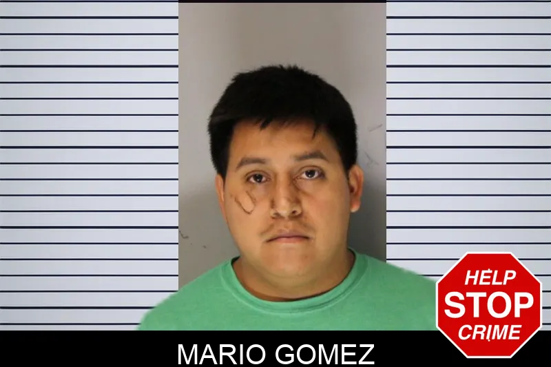 Mario Gomez Mugshots