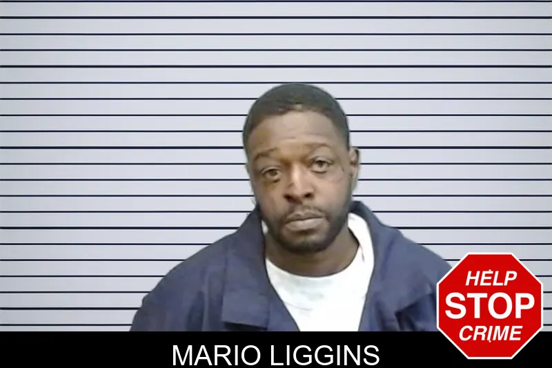 Mario Liggins Mugshots