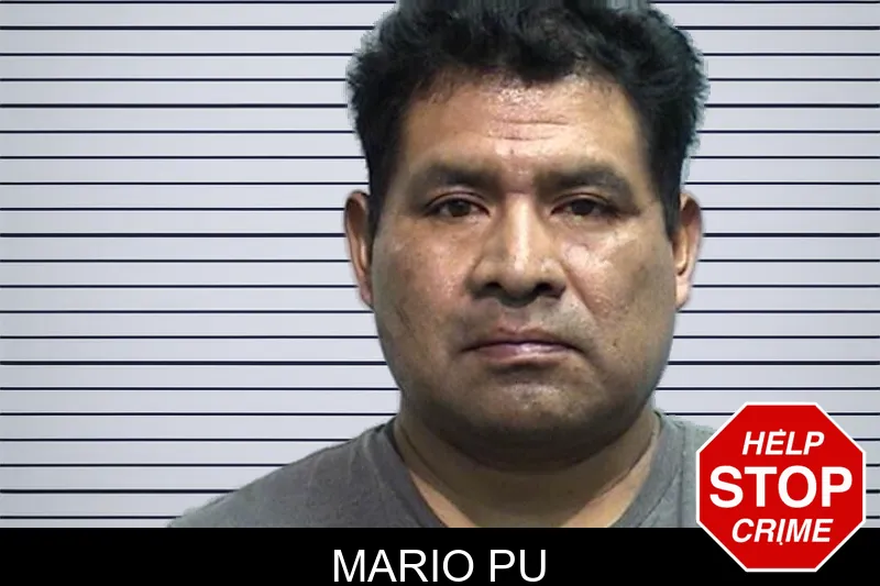 Mario Pu Mugshots