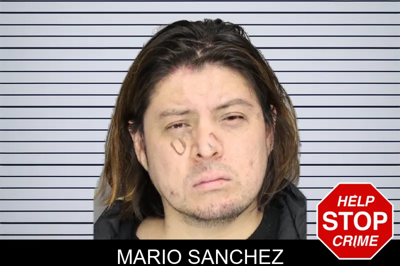 Mario Sanchez Mugshots