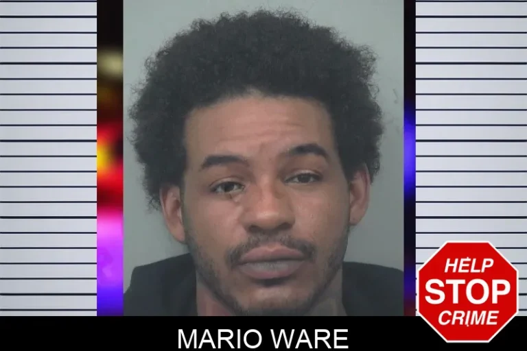 Mario Ware mugshot – Gwinnett County , Georgia Mario Ware