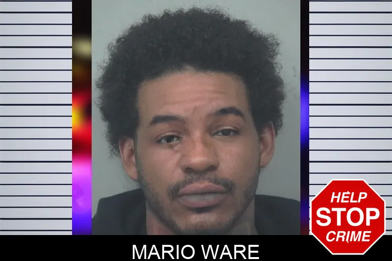Mario Ware Mugshots