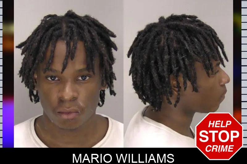 Mario Williams Mugshots