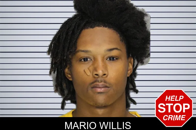 Mario Willis Mugshots