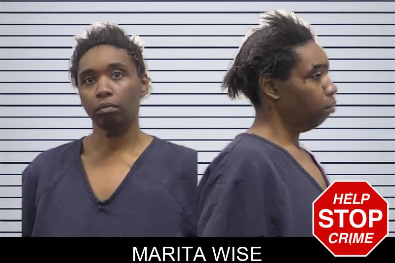 Marita Wise mugshot