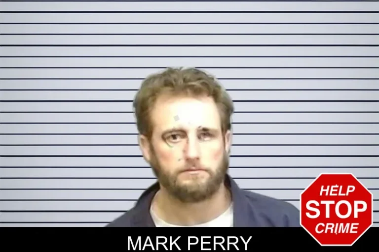 Mark Perry