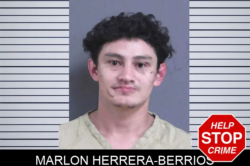Marlon Herrera-Berrios mugshot