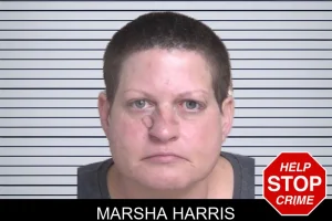 Marsha Harris mugshot