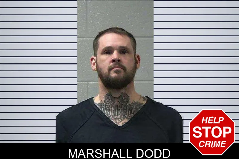 Marshall Dodd Mugshots
