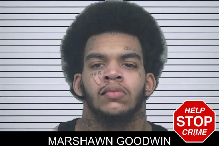 Marshawn Goodwin