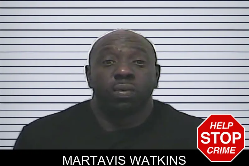 Martavis Watkins mugshot
