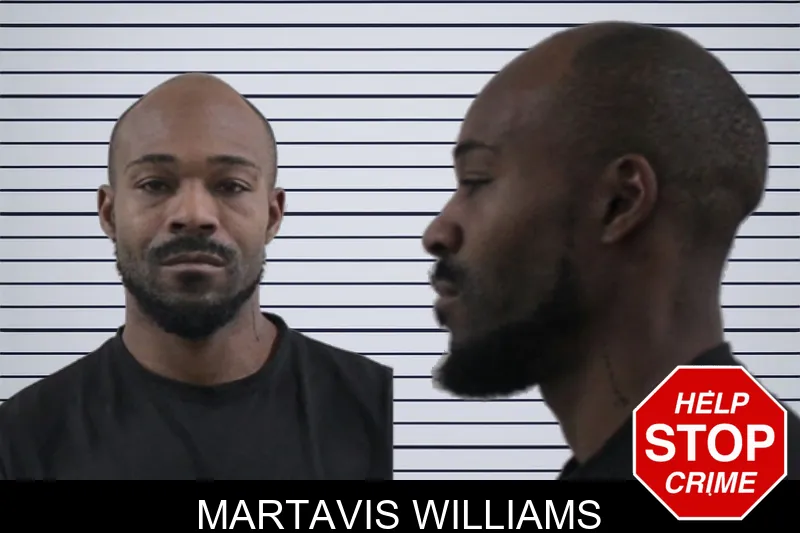 Martavis Williams mugshot