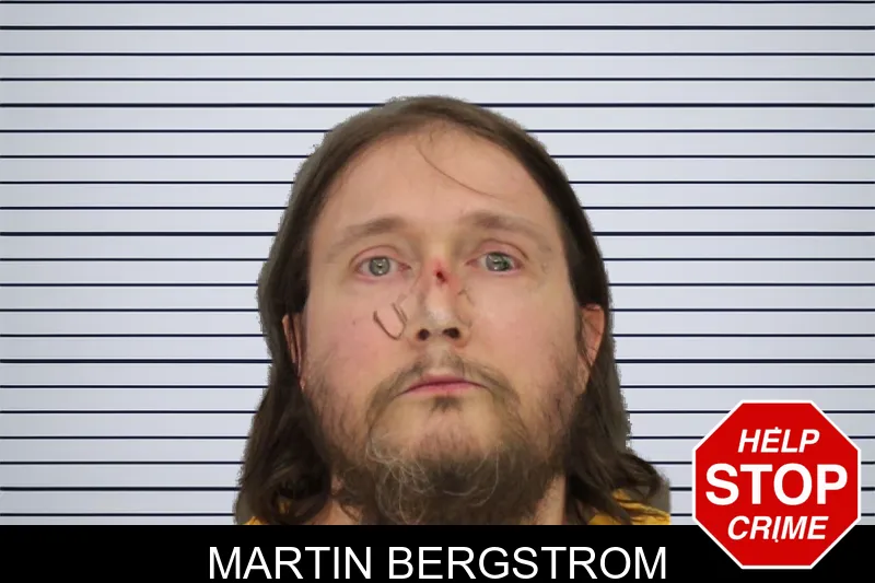 Martin Bergstrom mugshot – Cobb County , Georgia Martin Bergstrom mugshot