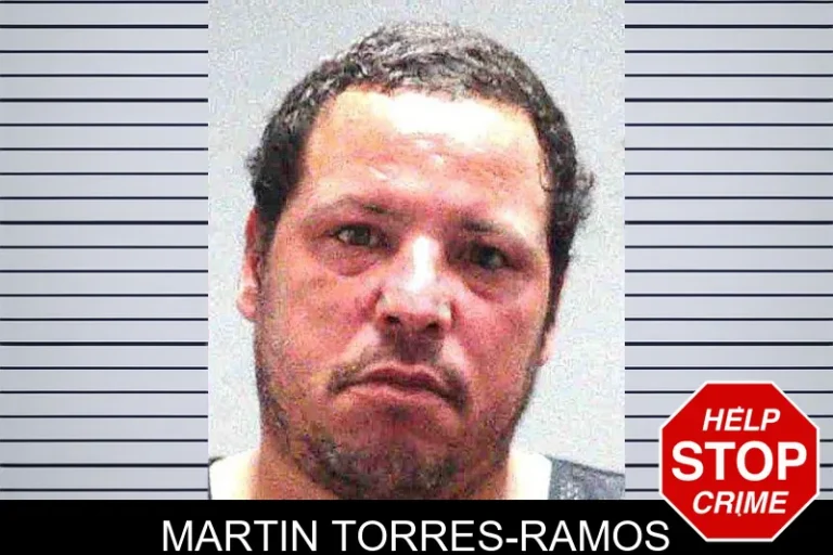 Martin Torres-Ramos