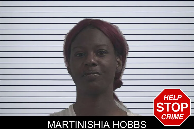 Martinishia Hobbs of McDuffie County, Georgia Martinishia Hobbs Mugshots