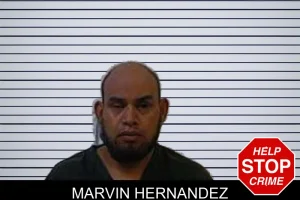Marvin Hernandez mugshot