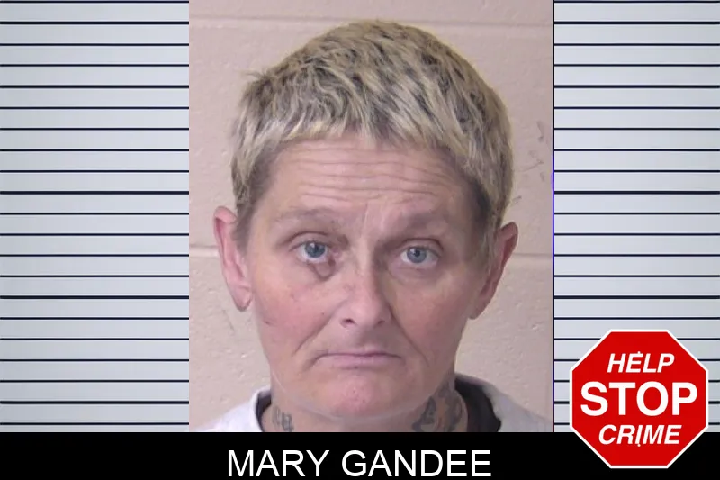 Mary Gandee Mugshots