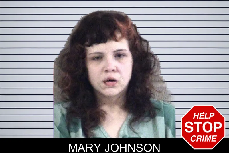 Mary Johnson mugshot