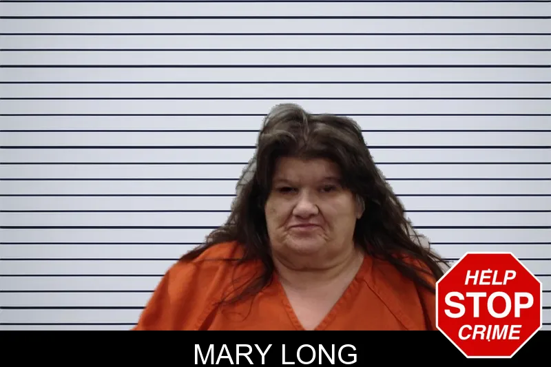 Mary Long mugshot