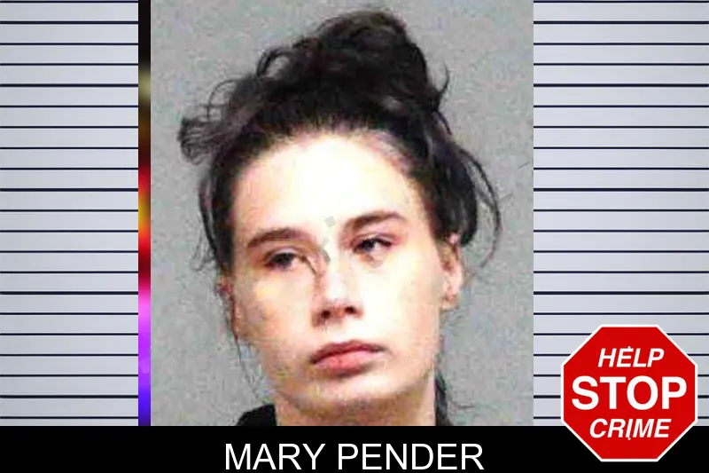 Mary Pender mugshot – Burke County , Georgia Mary Pender mugshot