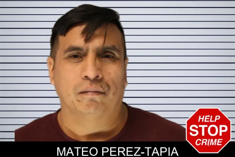 Mateo Perez-Tapia