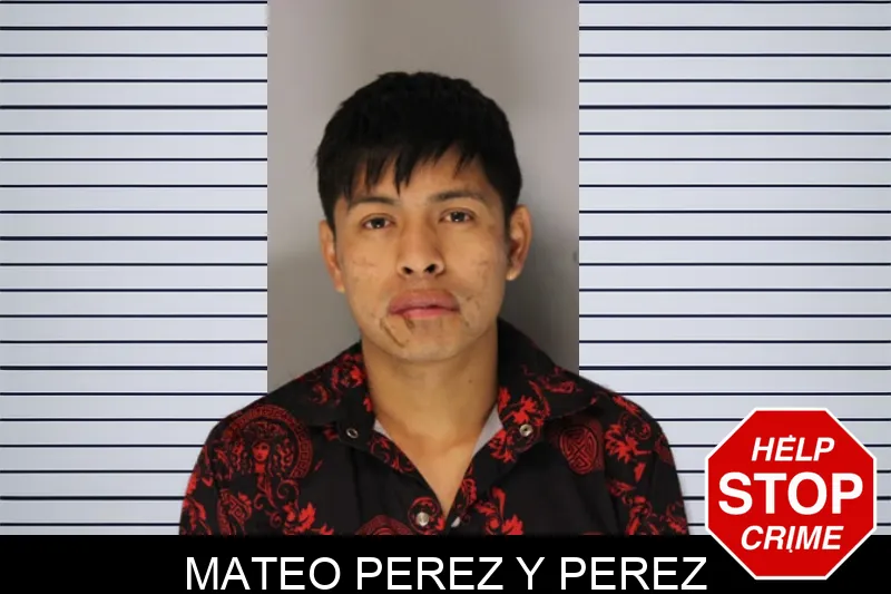 Mateo Perez Y Perez Mugshots